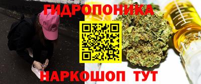 кокс Моздок