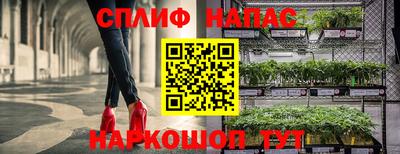 спиды Можайск
